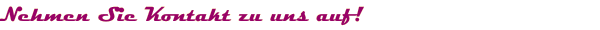 Nehmen Sie Kontakt zu uns auf!